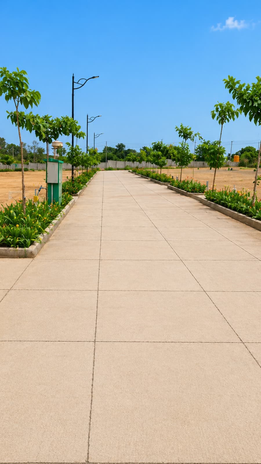 Tree-lined avenue at Kaamdheno