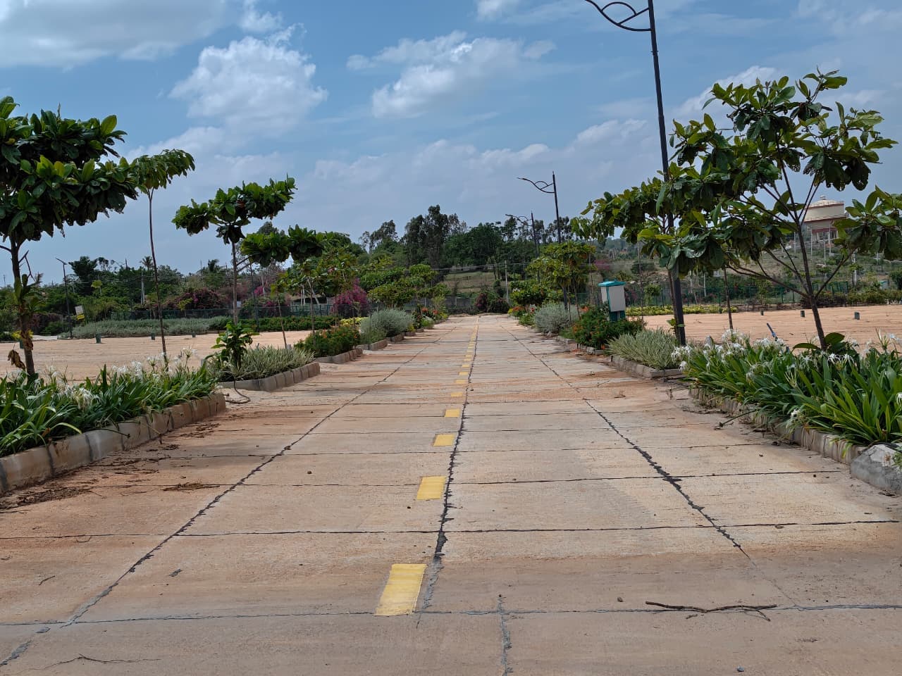 Paved road through the layout