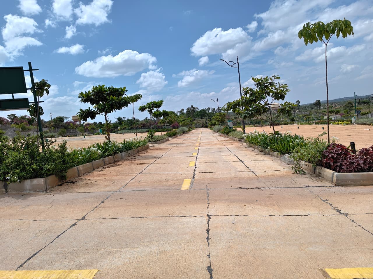 Internal road and neighbouring plots