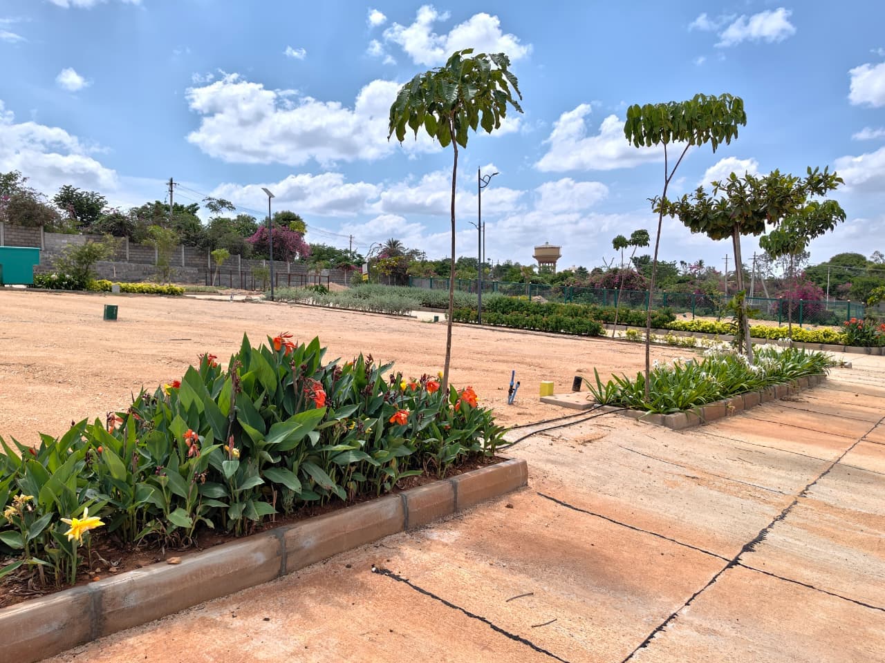Planted borders beside the plots