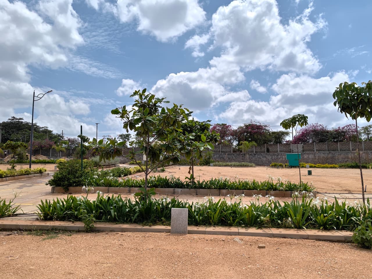 Landscaped junction within the layout