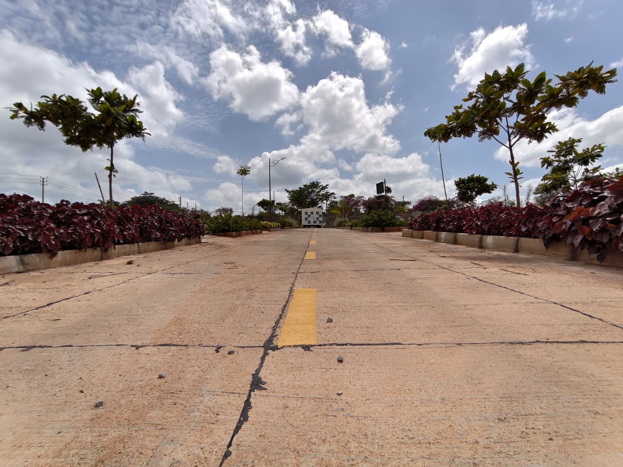 Flowering borders along an internal road